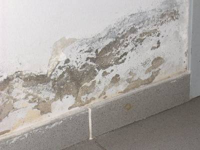 L’umidità può derivare da diverse cause, tra cui: umidità di risalita capillare dal terreno infiltrazioni d’acqua scarsa ventilazione degli ambienti materiali non traspiranti applicati nel tempo Nella maggior parte dei casi, soprattutto negli edifici più datati, il problema principale è la risalita capillare, ovvero l’acqua presente nel terreno che viene assorbita dalle murature e risale lentamente verso l’alto. Con il tempo questa umidità trasporta sali minerali che si depositano negli intonaci, causando rigonfiamenti, distacchi e degrado progressivo delle superfici.